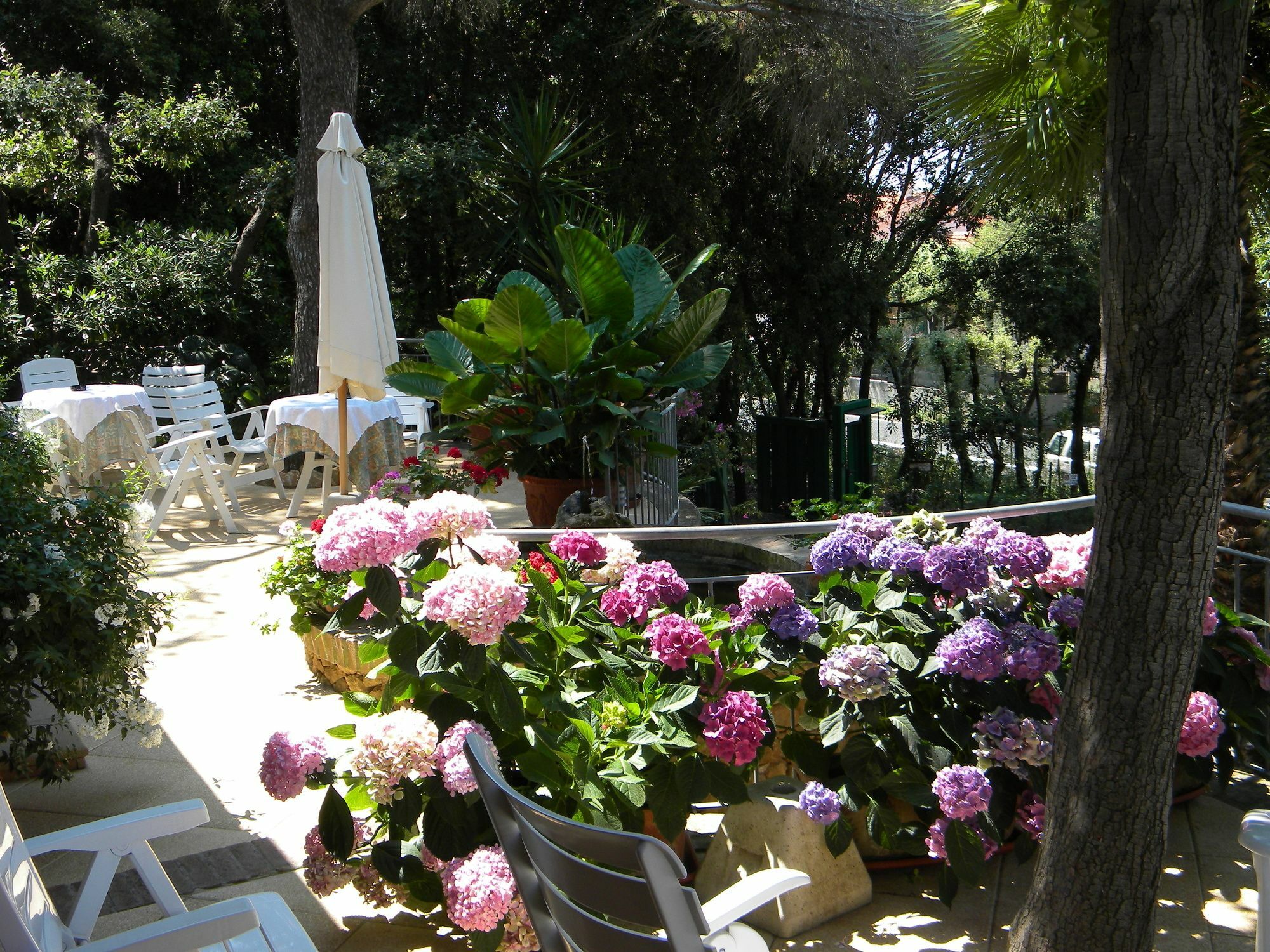 Hotel La Rosa Del Tirreno Livorno Luaran gambar